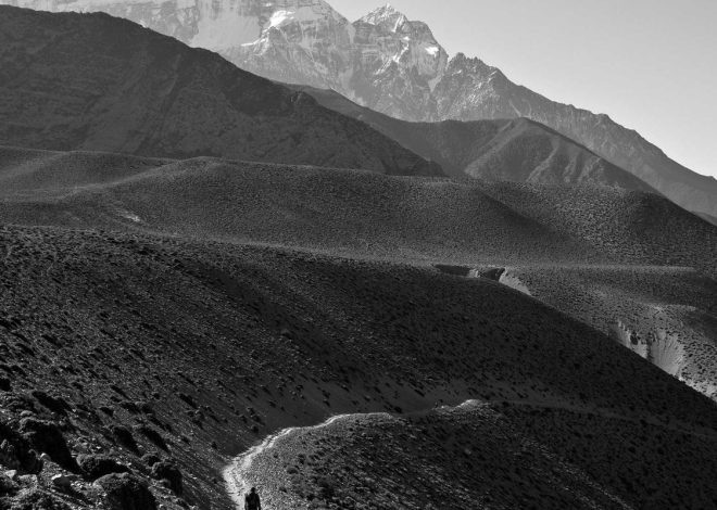 Bocor Alus! Duo HP Baru Motorola Moto G67 & G77 Siap Sikat Game Mobile Budget, Cek Speknya! – IndoGamers