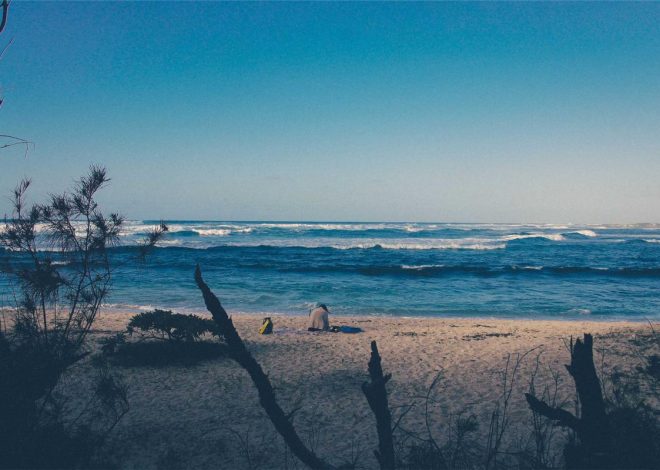 Bocor Alus! Duo HP Baru Motorola Moto G67 & G77 Siap Sikat Game Mobile Budget, Cek Speknya! – IndoGamers