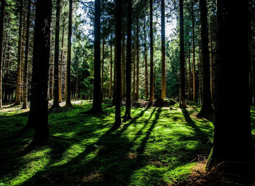 Bocor Alus! Duo HP Baru Motorola Moto G67 & G77 Siap Sikat Game Mobile Budget, Cek Speknya! – IndoGamers