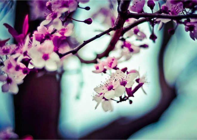 Bocor Alus! Duo HP Baru Motorola Moto G67 & G77 Siap Sikat Game Mobile Budget, Cek Speknya! – IndoGamers