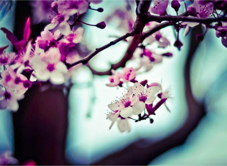 Bocor Alus! Duo HP Baru Motorola Moto G67 & G77 Siap Sikat Game Mobile Budget, Cek Speknya! – IndoGamers