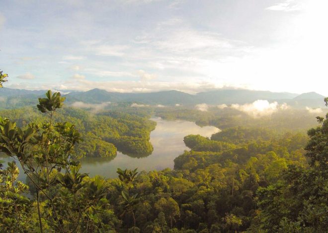 Bocor Alus! Duo HP Baru Motorola Moto G67 & G77 Siap Sikat Game Mobile Budget, Cek Speknya! – IndoGamers