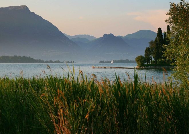 Bocor Alus! Duo HP Baru Motorola Moto G67 & G77 Siap Sikat Game Mobile Budget, Cek Speknya! – IndoGamers