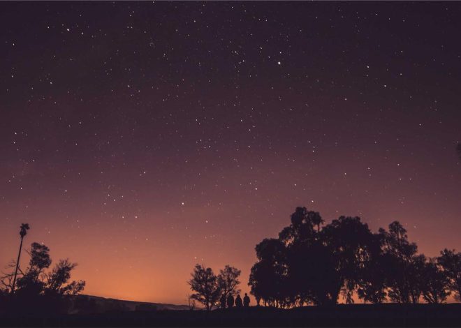 Bocor Alus! Duo HP Baru Motorola Moto G67 & G77 Siap Sikat Game Mobile Budget, Cek Speknya! – IndoGamers