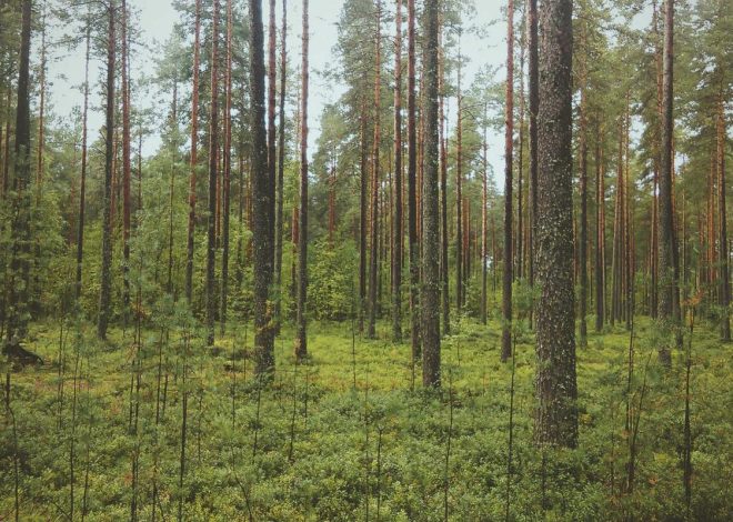 10 Rekomendasi Laptop 7 Jutaan