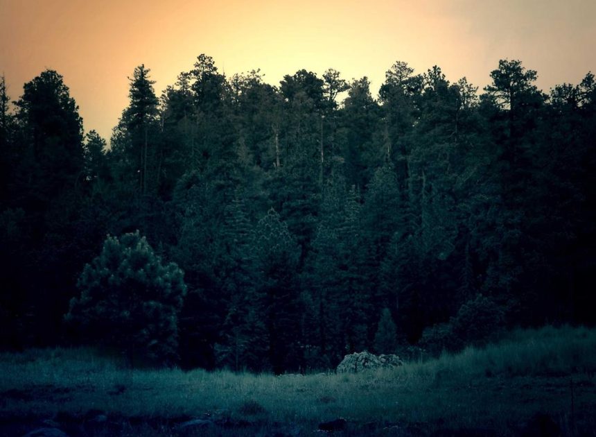 Xiaomi Siapkan Smartphone Budget Redmi A7 Pro