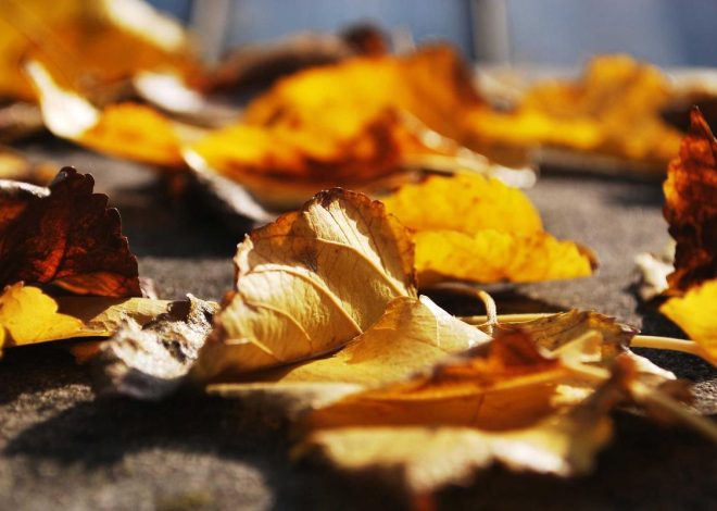 Bocor Alus! Duo HP Baru Motorola Moto G67 & G77 Siap Sikat Game Mobile Budget, Cek Speknya! – IndoGamers