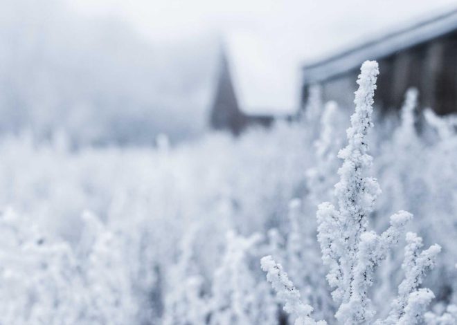 Bocor Alus! Duo HP Baru Motorola Moto G67 & G77 Siap Sikat Game Mobile Budget, Cek Speknya! – IndoGamers