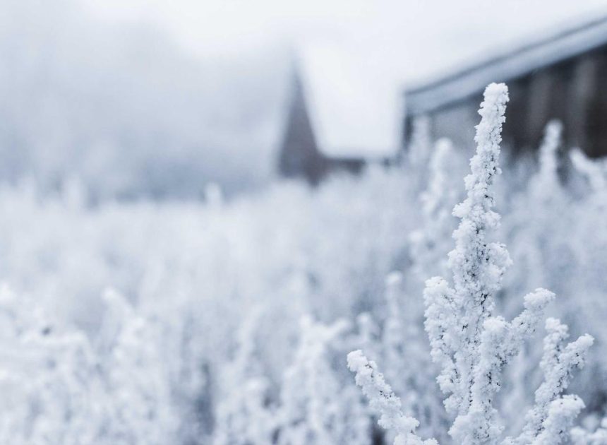 Bocor Alus! Duo HP Baru Motorola Moto G67 & G77 Siap Sikat Game Mobile Budget, Cek Speknya! – IndoGamers