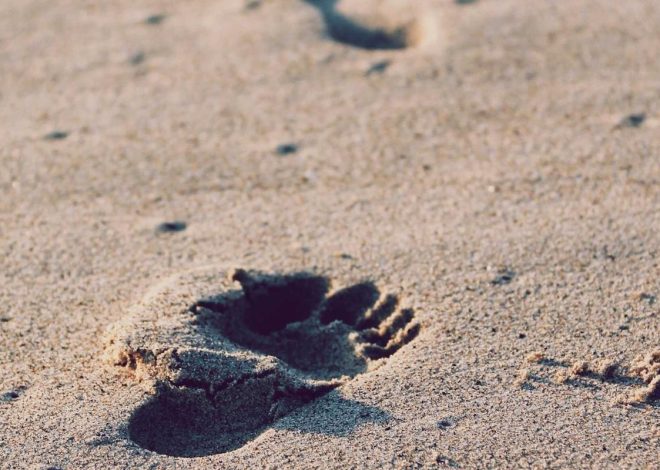 Bocor Alus! Duo HP Baru Motorola Moto G67 & G77 Siap Sikat Game Mobile Budget, Cek Speknya! – IndoGamers