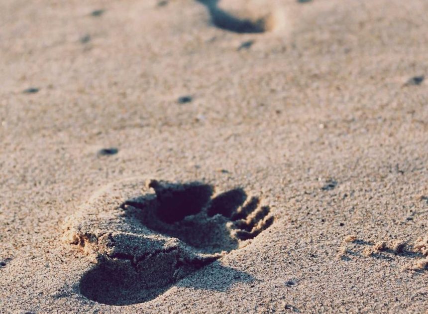 Bocor Alus! Duo HP Baru Motorola Moto G67 & G77 Siap Sikat Game Mobile Budget, Cek Speknya! – IndoGamers