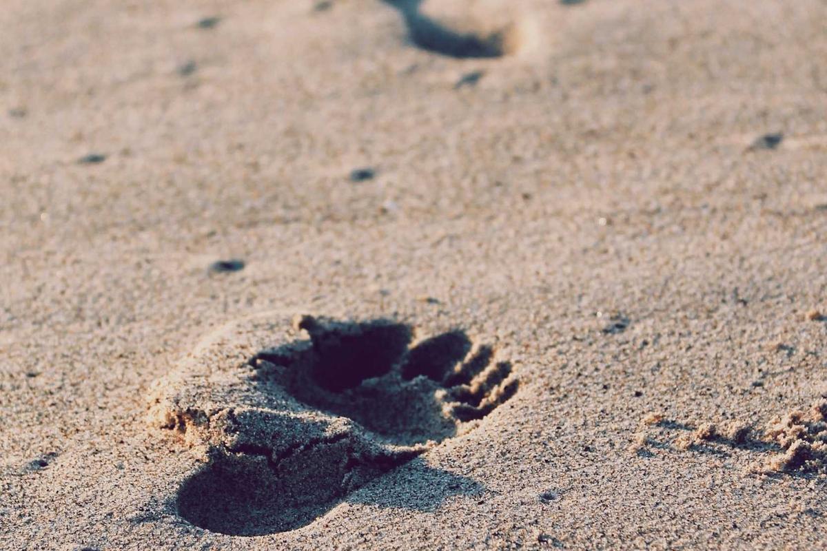 Bocor Alus! Duo HP Baru Motorola Moto G67 & G77 Siap Sikat Game Mobile Budget, Cek Speknya! – IndoGamers