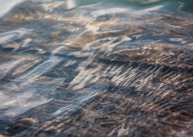 Bocor Alus! Duo HP Baru Motorola Moto G67 & G77 Siap Sikat Game Mobile Budget, Cek Speknya! – IndoGamers