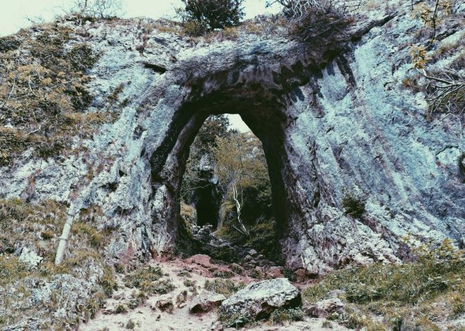 Bocor Alus! Duo HP Baru Motorola Moto G67 & G77 Siap Sikat Game Mobile Budget, Cek Speknya! – IndoGamers