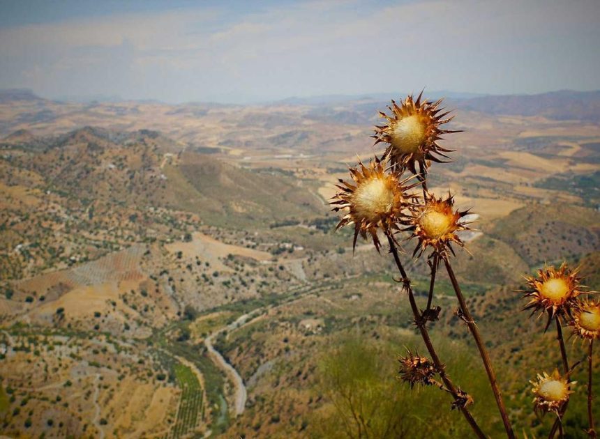 Bocor Alus! Duo HP Baru Motorola Moto G67 & G77 Siap Sikat Game Mobile Budget, Cek Speknya! – IndoGamers