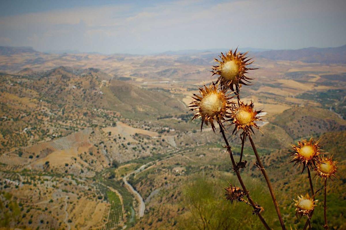 Bocor Alus! Duo HP Baru Motorola Moto G67 & G77 Siap Sikat Game Mobile Budget, Cek Speknya! – IndoGamers