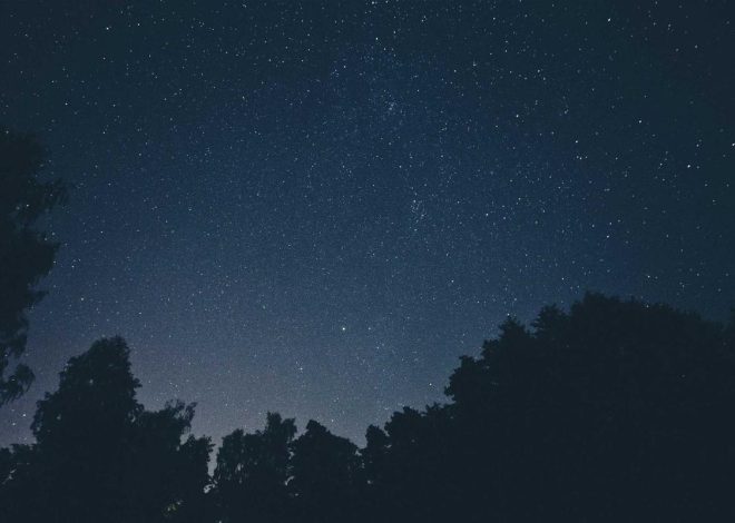 Bocor Alus! Duo HP Baru Motorola Moto G67 & G77 Siap Sikat Game Mobile Budget, Cek Speknya! – IndoGamers