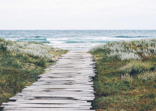 Bocor Alus! Duo HP Baru Motorola Moto G67 & G77 Siap Sikat Game Mobile Budget, Cek Speknya! – IndoGamers