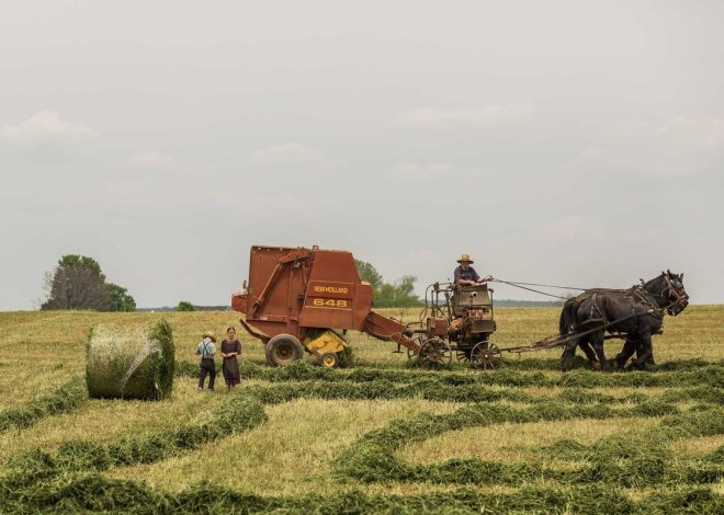 Bocor Alus! Duo HP Baru Motorola Moto G67 & G77 Siap Sikat Game Mobile Budget, Cek Speknya! – IndoGamers