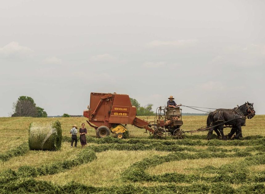 Bocor Alus! Duo HP Baru Motorola Moto G67 & G77 Siap Sikat Game Mobile Budget, Cek Speknya! – IndoGamers