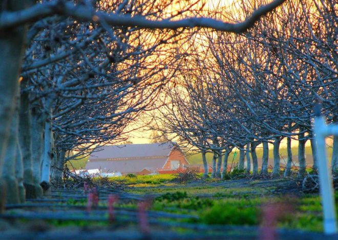 Punya Budget 10 Juta? Ini 3 HP Flagship Terbaik 2026 yang Wajib Kamu Lirik! – Malang Terkini | PRMN – Pikiran