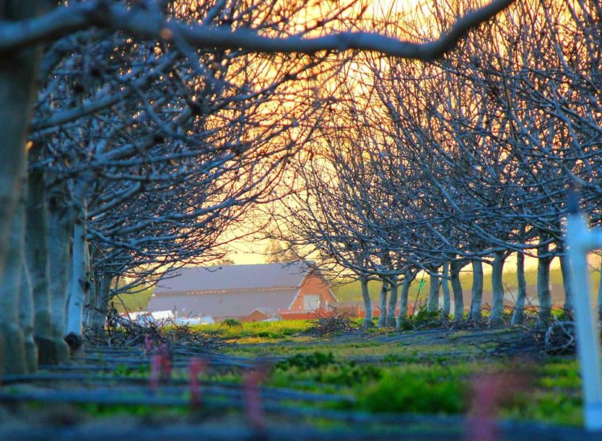 Punya Budget 10 Juta? Ini 3 HP Flagship Terbaik 2026 yang Wajib Kamu Lirik! – Malang Terkini | PRMN – Pikiran