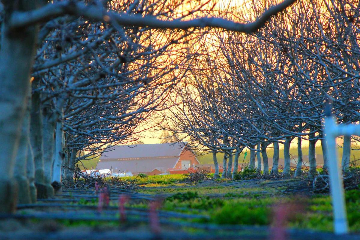 Punya Budget 10 Juta? Ini 3 HP Flagship Terbaik 2026 yang Wajib Kamu Lirik! – Malang Terkini | PRMN – Pikiran