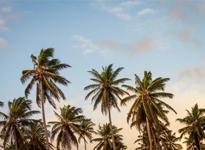 Bocor Alus! Duo HP Baru Motorola Moto G67 & G77 Siap Sikat Game Mobile Budget, Cek Speknya! – IndoGamers