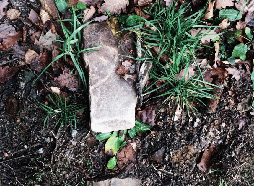 Bocor Alus! Duo HP Baru Motorola Moto G67 & G77 Siap Sikat Game Mobile Budget, Cek Speknya! – IndoGamers