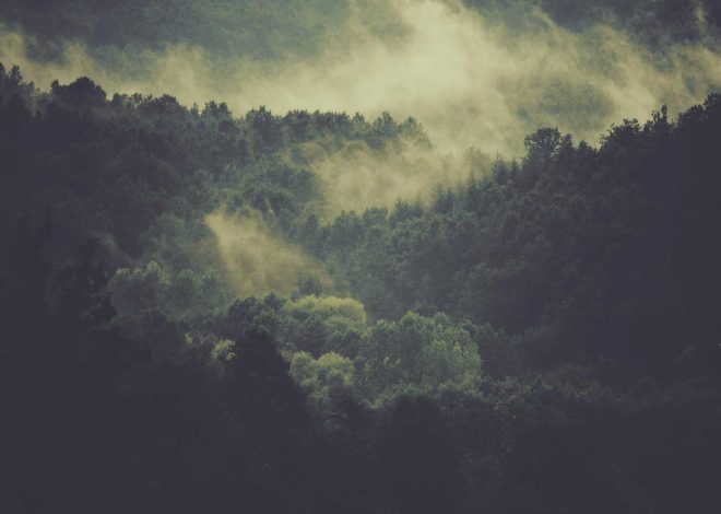 Bocor Alus! Duo HP Baru Motorola Moto G67 & G77 Siap Sikat Game Mobile Budget, Cek Speknya! – IndoGamers