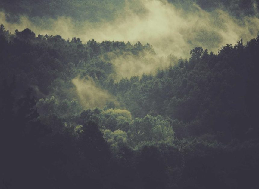 Bocor Alus! Duo HP Baru Motorola Moto G67 & G77 Siap Sikat Game Mobile Budget, Cek Speknya! – IndoGamers