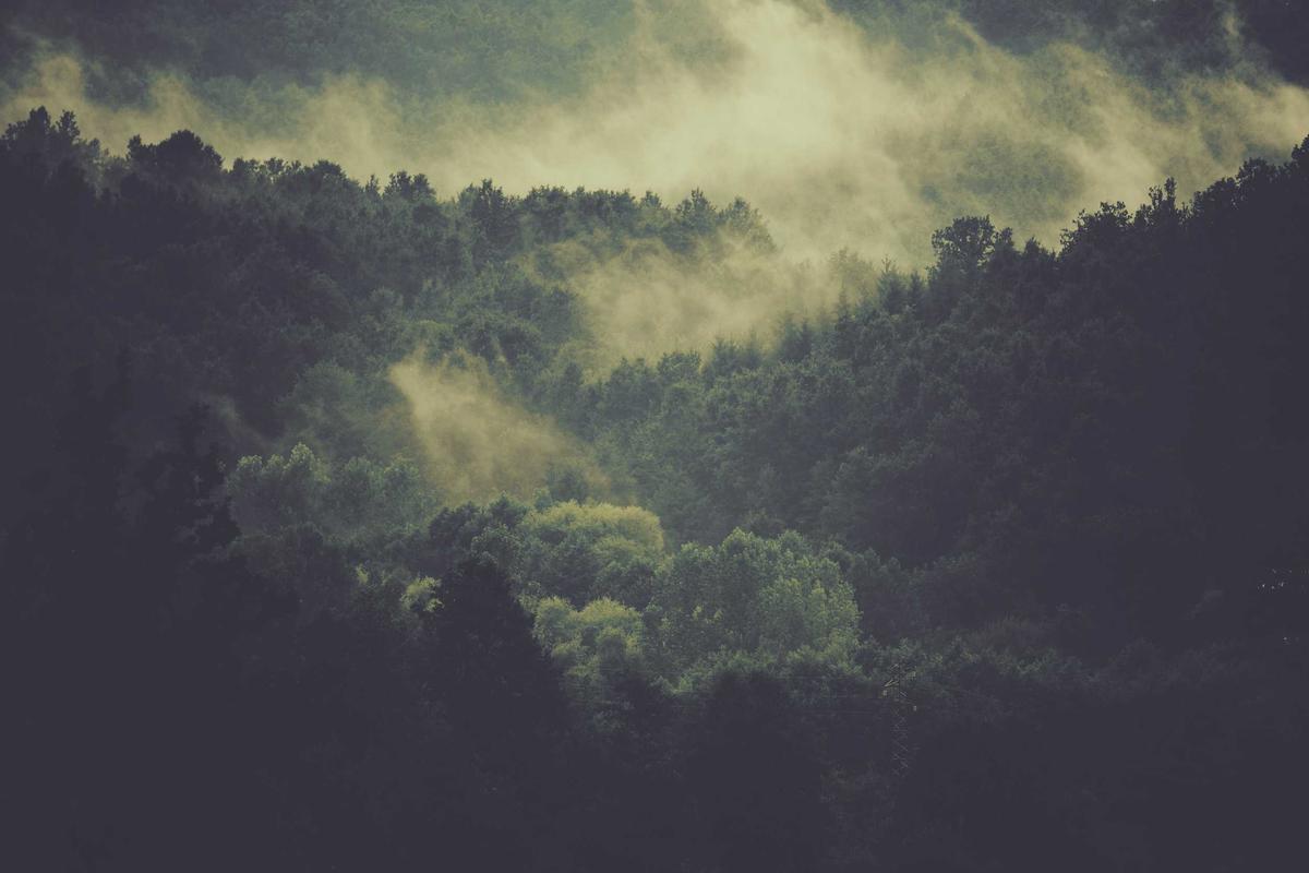 Bocor Alus! Duo HP Baru Motorola Moto G67 & G77 Siap Sikat Game Mobile Budget, Cek Speknya! – IndoGamers