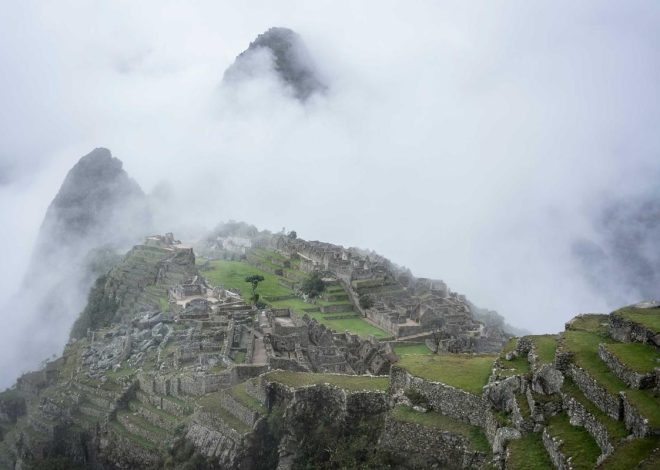 Bocor Alus! Duo HP Baru Motorola Moto G67 & G77 Siap Sikat Game Mobile Budget, Cek Speknya! – IndoGamers