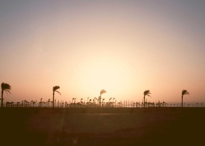 7 Tips Sukses War Tiket Konser Coldplay Jakarta 2023, Mulai dari Gadget sampai Budget