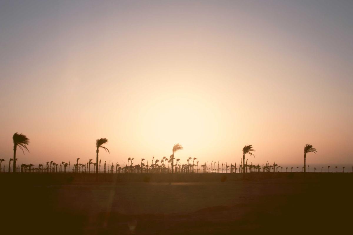 7 Tips Sukses War Tiket Konser Coldplay Jakarta 2023, Mulai dari Gadget sampai Budget