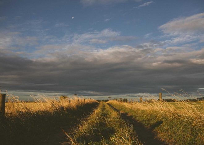 10 Rekomendasi Laptop 10 Jutaan Terbaik