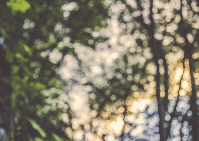 Bocor Alus! Duo HP Baru Motorola Moto G67 & G77 Siap Sikat Game Mobile Budget, Cek Speknya! – IndoGamers