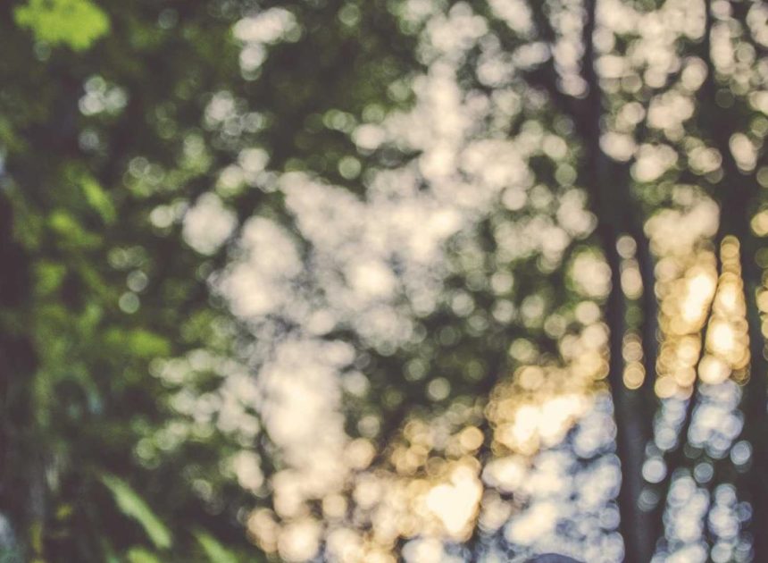 Bocor Alus! Duo HP Baru Motorola Moto G67 & G77 Siap Sikat Game Mobile Budget, Cek Speknya! – IndoGamers