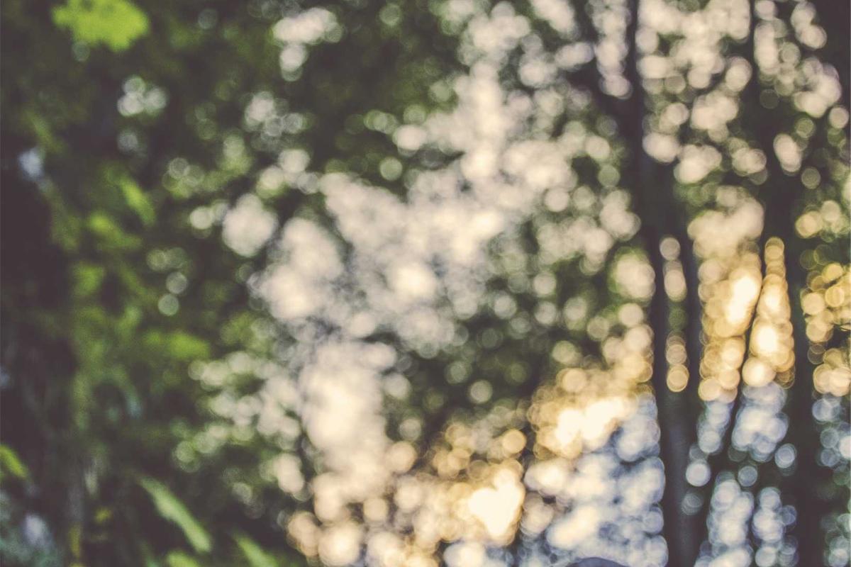 Bocor Alus! Duo HP Baru Motorola Moto G67 & G77 Siap Sikat Game Mobile Budget, Cek Speknya! – IndoGamers