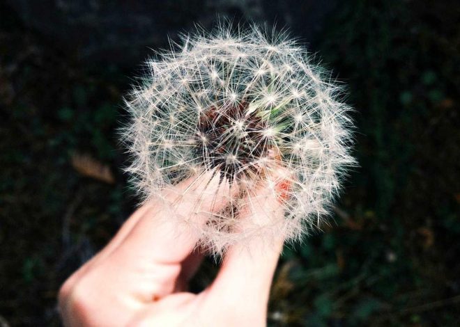 Bocor Alus! Duo HP Baru Motorola Moto G67 & G77 Siap Sikat Game Mobile Budget, Cek Speknya! – IndoGamers