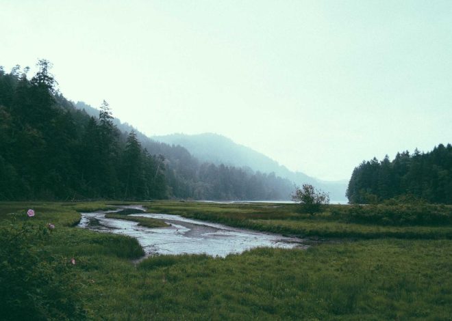 Bocor Alus! Duo HP Baru Motorola Moto G67 & G77 Siap Sikat Game Mobile Budget, Cek Speknya! – IndoGamers