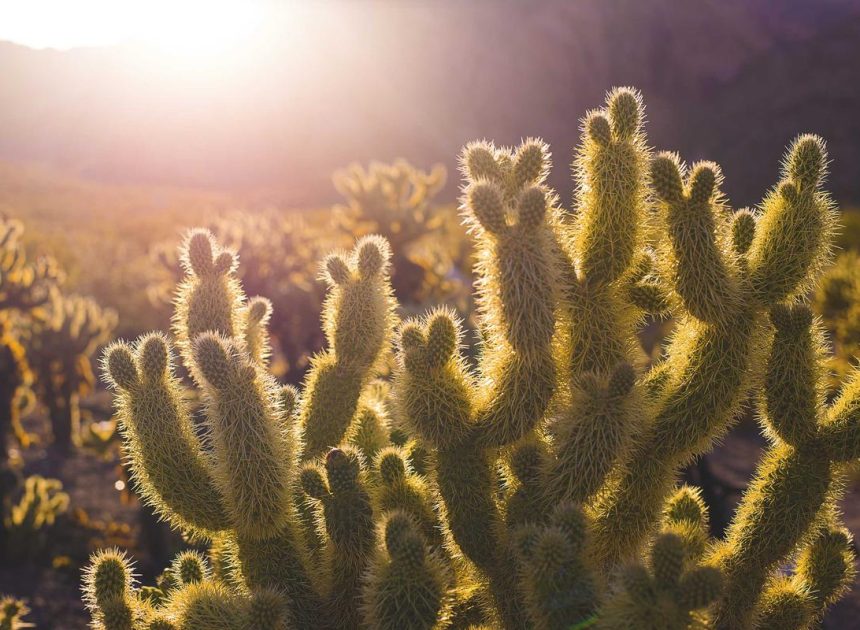 Bocor Alus! Duo HP Baru Motorola Moto G67 & G77 Siap Sikat Game Mobile Budget, Cek Speknya! – IndoGamers