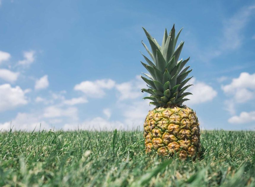 Bocor Alus! Duo HP Baru Motorola Moto G67 & G77 Siap Sikat Game Mobile Budget, Cek Speknya! – IndoGamers