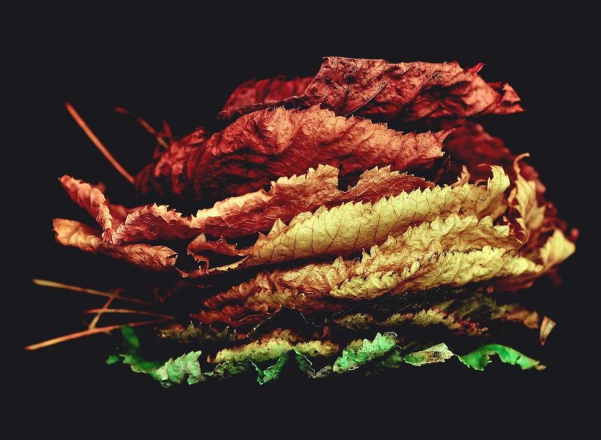 Bocor Alus! Duo HP Baru Motorola Moto G67 & G77 Siap Sikat Game Mobile Budget, Cek Speknya! – IndoGamers