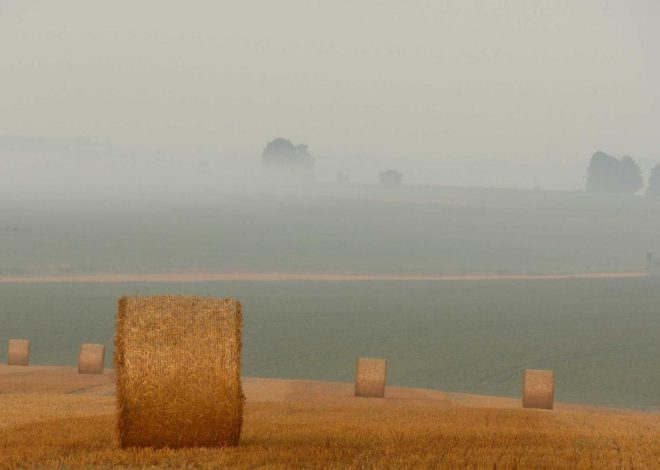 Bocor Alus! Duo HP Baru Motorola Moto G67 & G77 Siap Sikat Game Mobile Budget, Cek Speknya! – IndoGamers