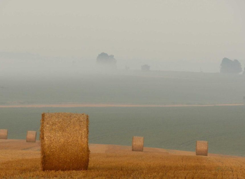 Bocor Alus! Duo HP Baru Motorola Moto G67 & G77 Siap Sikat Game Mobile Budget, Cek Speknya! – IndoGamers