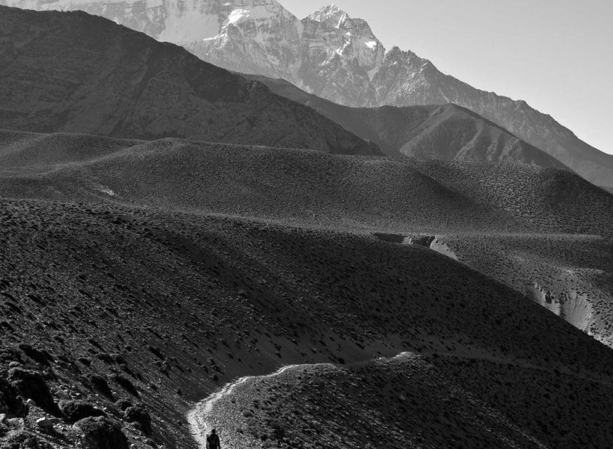 Bocor Alus! Duo HP Baru Motorola Moto G67 & G77 Siap Sikat Game Mobile Budget, Cek Speknya! – IndoGamers