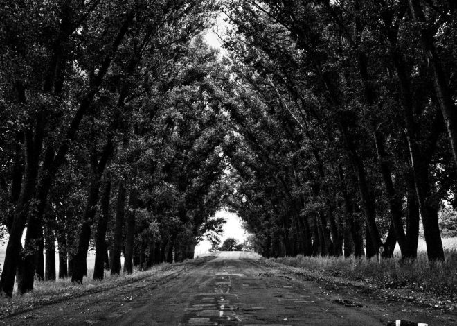 Bocor Alus! Duo HP Baru Motorola Moto G67 & G77 Siap Sikat Game Mobile Budget, Cek Speknya! – IndoGamers