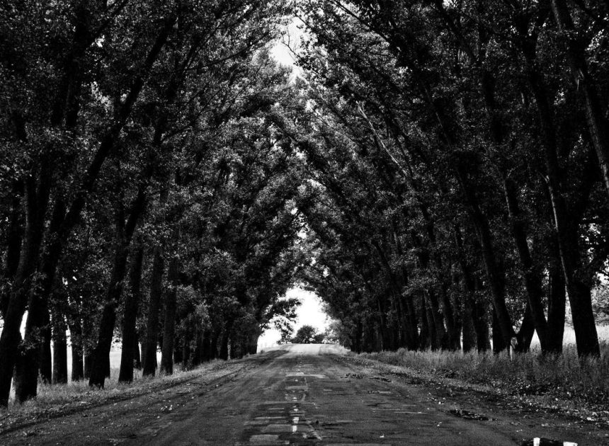 Bocor Alus! Duo HP Baru Motorola Moto G67 & G77 Siap Sikat Game Mobile Budget, Cek Speknya! – IndoGamers