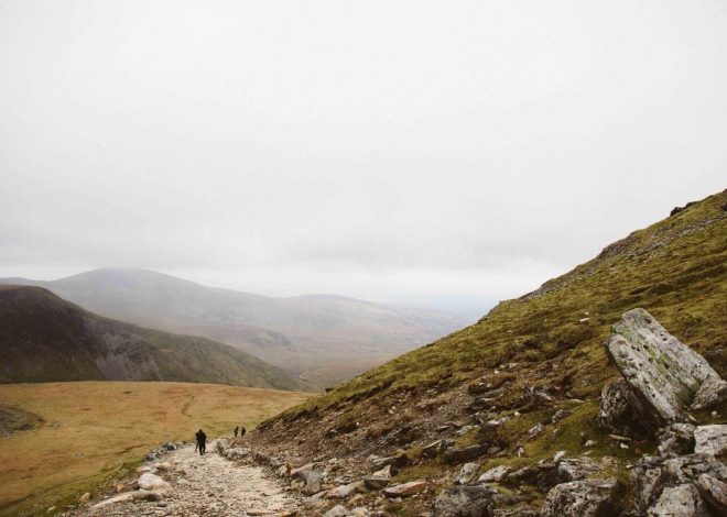 Bocor Alus! Duo HP Baru Motorola Moto G67 & G77 Siap Sikat Game Mobile Budget, Cek Speknya! – IndoGamers